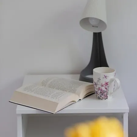 Pet-Friendly Studio Apartments Batorego Warsaw By Noclegi Renters Exteriér fotografie
